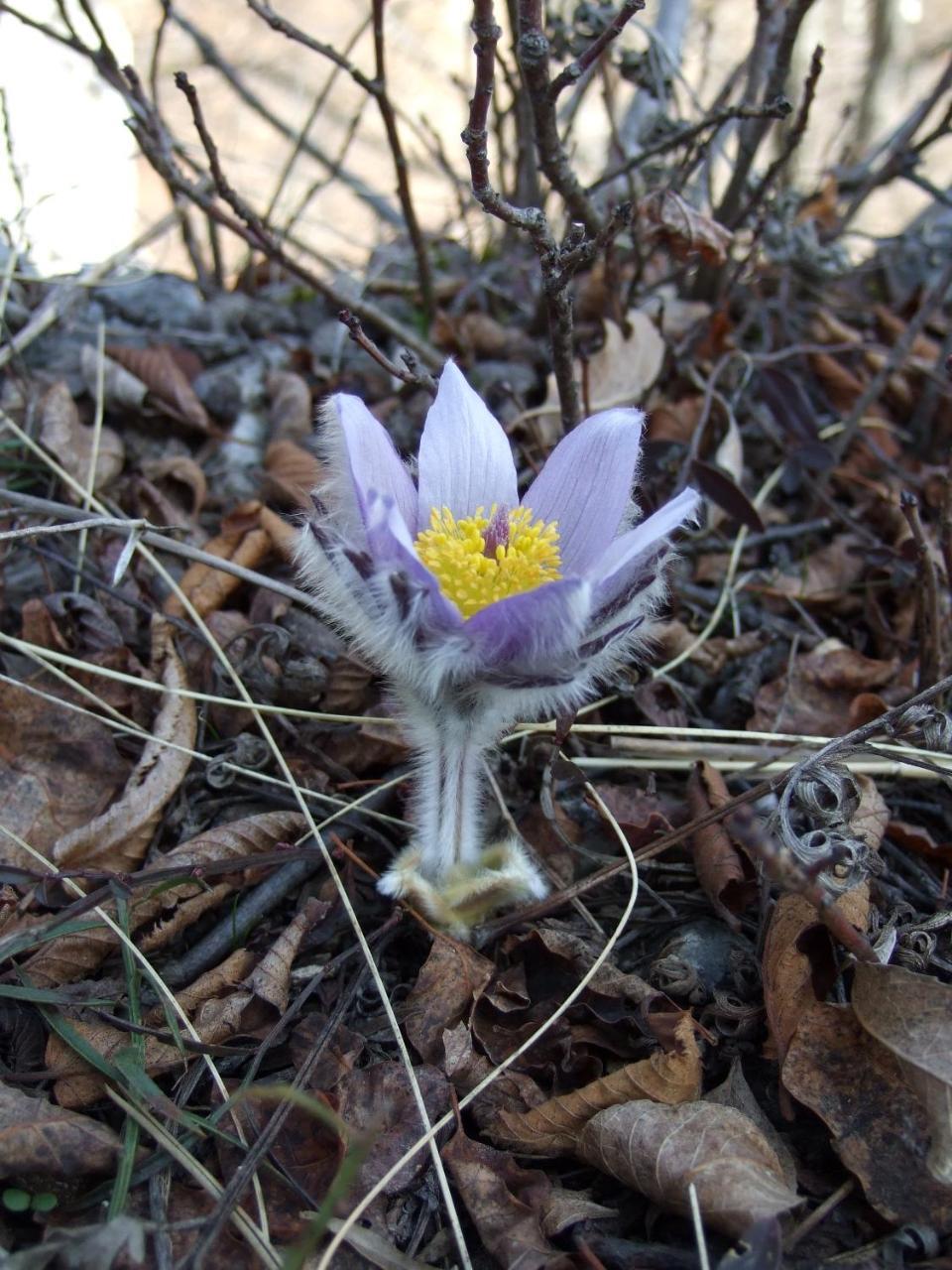 Planinski Mir Zaovine 외부 사진