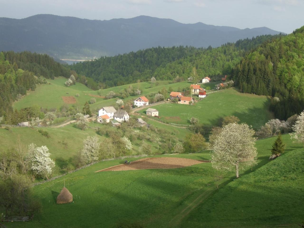 Planinski Mir Zaovine 외부 사진